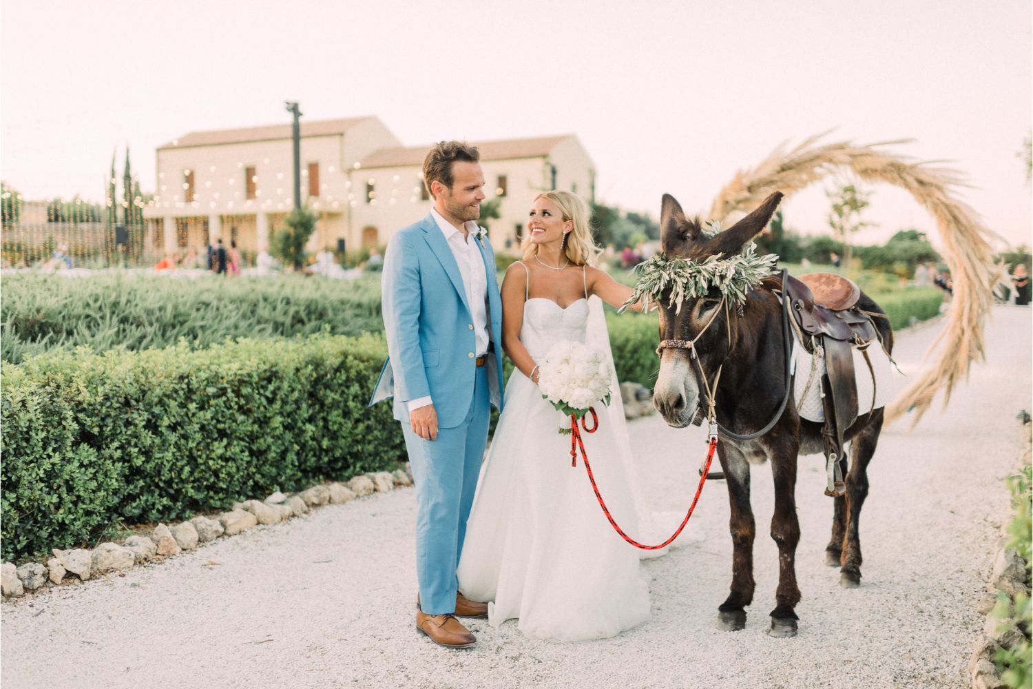 newlyweds & Cretan donkey at estate wedding